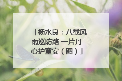 杨水良：八载风雨巡防路 一片丹心护童安（图）