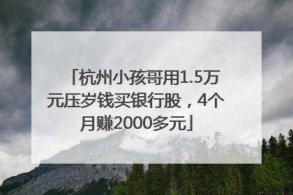杭州小孩哥用1.5万元压岁钱买银行股，4个月赚2000多元