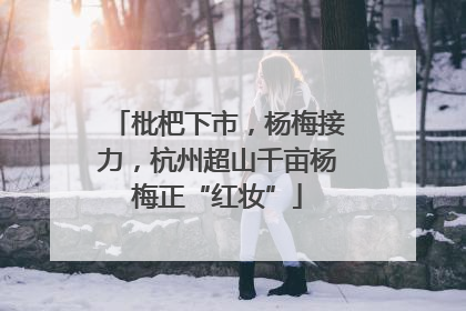 枇杷下市，杨梅接力，杭州超山千亩杨梅正“红妆”