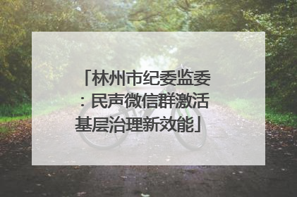 林州市纪委监委：民声微信群激活基层治理新效能