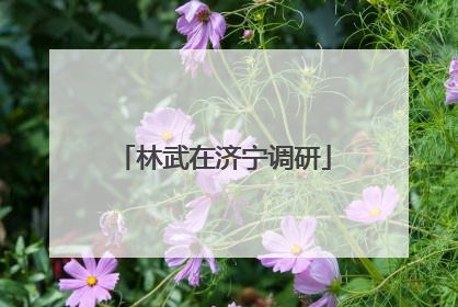 林武在济宁调研