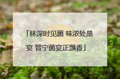 林深时见菌 味浓处是宴 晋宁菌宴正飘香