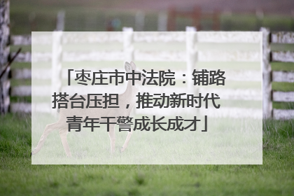 枣庄市中法院：铺路搭台压担，推动新时代青年干警成长成才