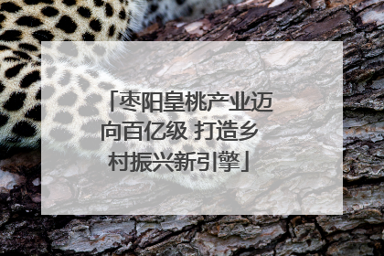 枣阳皇桃产业迈向百亿级 打造乡村振兴新引擎