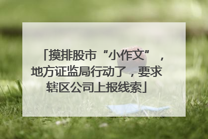 摸排股市“小作文”，地方证监局行动了，要求辖区公司上报线索