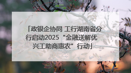 政银企协同 工行湖南省分行启动2025“金融送解优 兴工助商惠农”行动