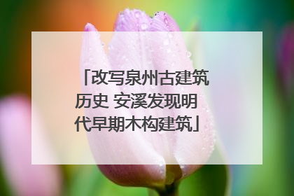 改写泉州古建筑历史 安溪发现明代早期木构建筑