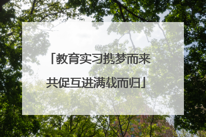 教育实习携梦而来 共促互进满载而归
