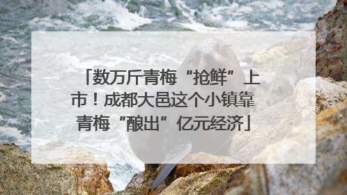 数万斤青梅“抢鲜”上市！成都大邑这个小镇靠青梅“酿出”亿元经济