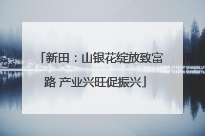 新田：山银花绽放致富路 产业兴旺促振兴