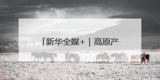 新华全媒+｜高原产品上“云”端——西藏电商发展一线观察