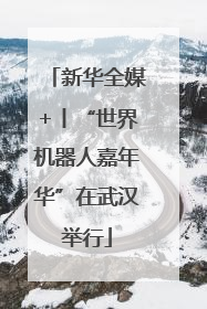 新华全媒+丨“世界机器人嘉年华”在武汉举行