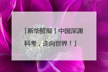 新华鲜报丨中国深渊科考，走向世界！