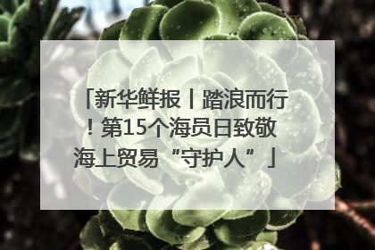 新华鲜报丨踏浪而行！第15个海员日致敬海上贸易“守护人”