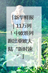 新华鲜报｜11万列！中欧班列跑出亚欧大陆“新时速”