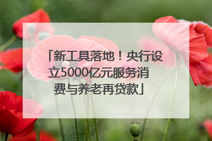 新工具落地！央行设立5000亿元服务消费与养老再贷款