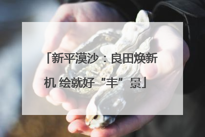 新平漠沙：良田焕新机 绘就好“丰”景