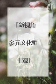 新视角 多元文化壁上观