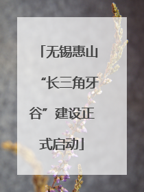 无锡惠山“长三角牙谷”建设正式启动