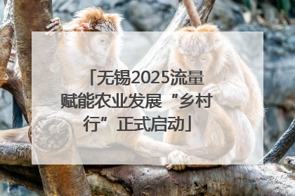无锡2025流量赋能农业发展“乡村行”正式启动