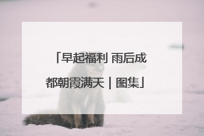 早起福利 雨后成都朝霞满天｜图集