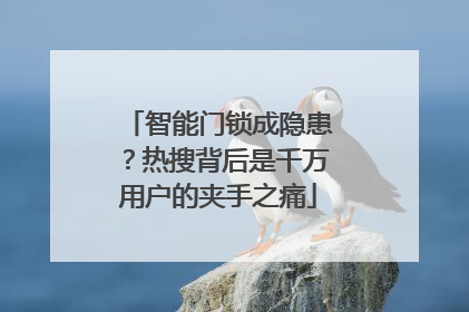 智能门锁成隐患？热搜背后是千万用户的夹手之痛