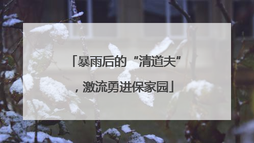 暴雨后的“清道夫”，激流勇进保家园