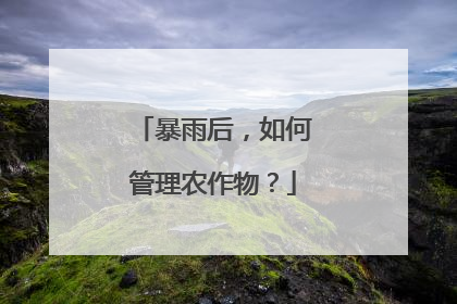 暴雨后，如何管理农作物？