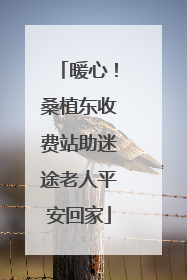 暖心！桑植东收费站助迷途老人平安回家