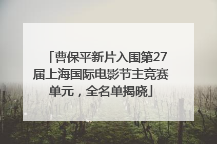 曹保平新片入围第27届上海国际电影节主竞赛单元，全名单揭晓