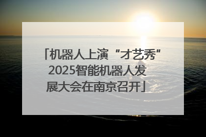 机器人上演“才艺秀” 2025智能机器人发展大会在南京召开