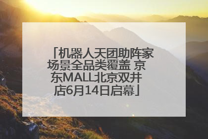 机器人天团助阵家场景全品类覆盖 京东MALL北京双井店6月14日启幕