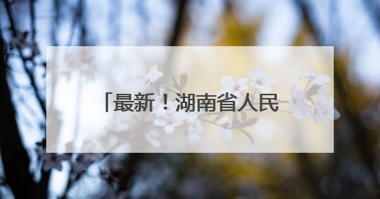 最新！湖南省人民政府任免工作人员