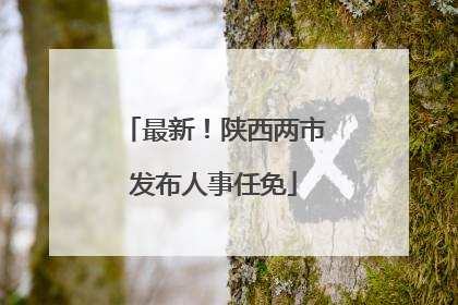 最新！陕西两市发布人事任免