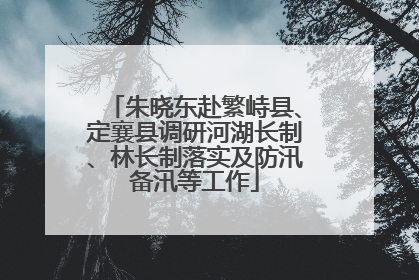 朱晓东赴繁峙县、定襄县调研河湖长制、林长制落实及防汛备汛等工作