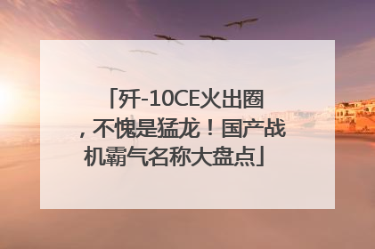歼-10CE火出圈，不愧是猛龙！国产战机霸气名称大盘点