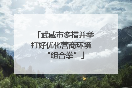 武威市多措并举打好优化营商环境“组合拳”