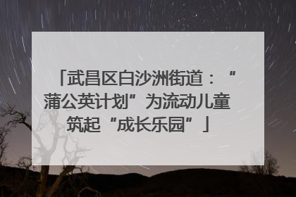 武昌区白沙洲街道：“蒲公英计划”为流动儿童筑起“成长乐园”