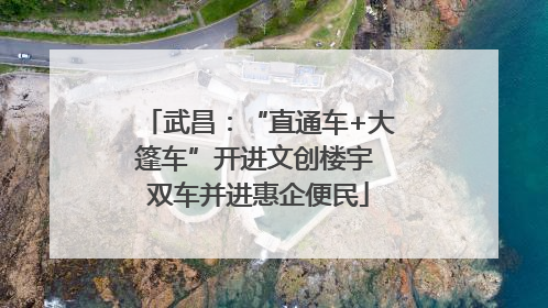 武昌：“直通车+大篷车”开进文创楼宇 双车并进惠企便民