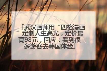武汉画师用“四格漫画”定制人生高光，定价最高98元，回应：看到很多游客去韩国体验
