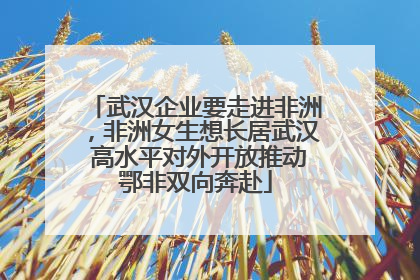武汉企业要走进非洲，非洲女生想长居武汉 高水平对外开放推动鄂非双向奔赴