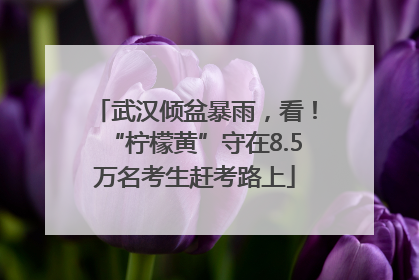 武汉倾盆暴雨，看！“柠檬黄”守在8.5万名考生赶考路上