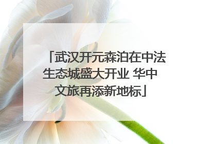 武汉开元森泊在中法生态城盛大开业 华中文旅再添新地标