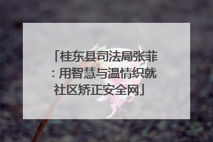 桂东县司法局张菲：用智慧与温情织就社区矫正安全网