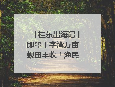 桂东出海记丨即墨丁字湾万亩蚬田丰收！渔民泥里挖蚬，一天上岸过千斤