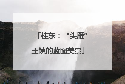 桂东：“头雁”王镇的蓝图美景