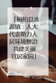 桐柏县淮源镇：人大代表助力人居环境整治 共建美丽宜居家园