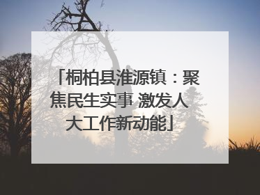 桐柏县淮源镇：聚焦民生实事 激发人大工作新动能