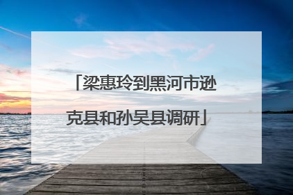 梁惠玲到黑河市逊克县和孙吴县调研