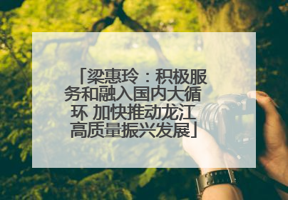 梁惠玲：积极服务和融入国内大循环 加快推动龙江高质量振兴发展